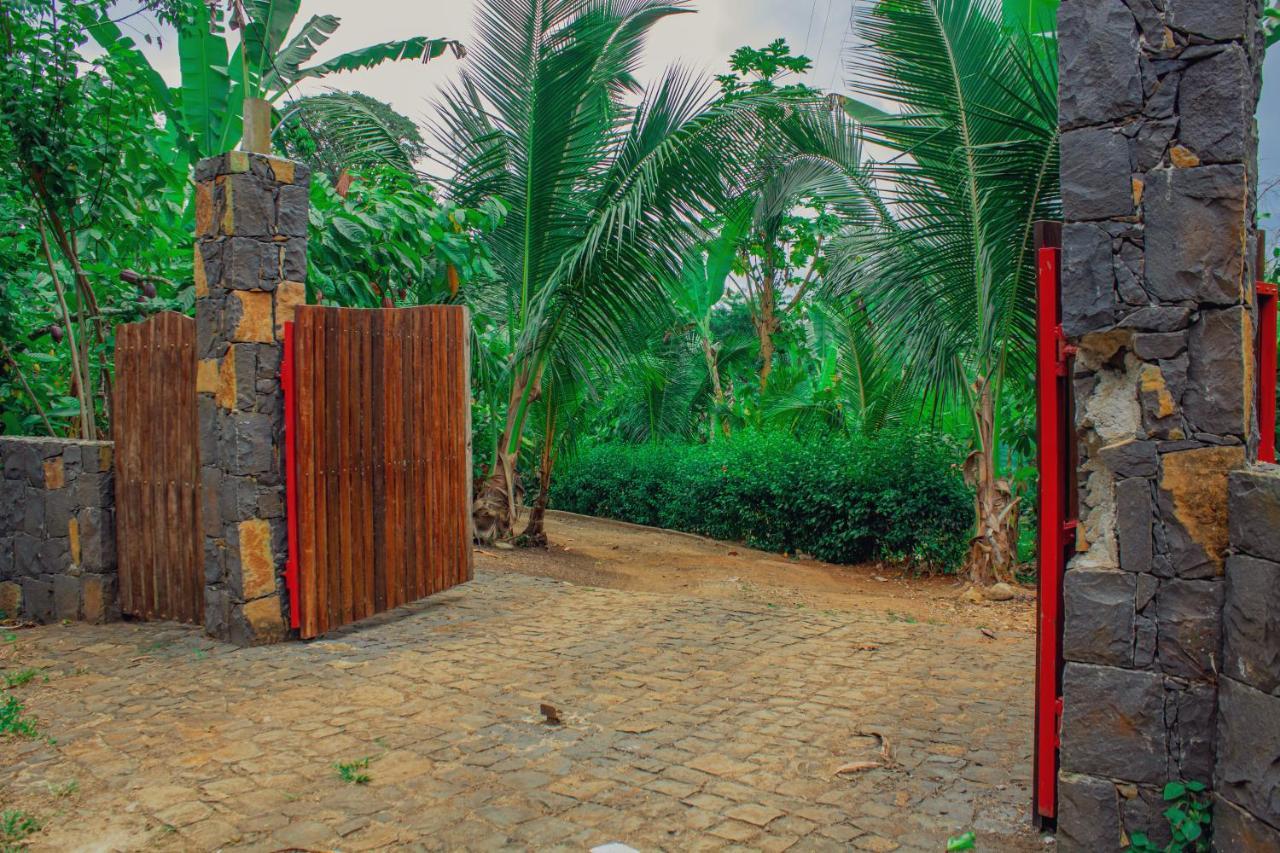 Eden Valley Ecolodge And Farming Madalena Exterior photo